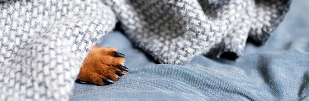 Wohnungsverein Münster von 1863 eG